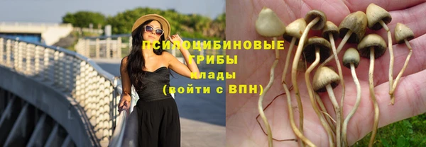 таблы Кинешма