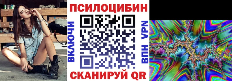 Купить  Кострома  Псилоцибиновые грибы Psilocybine cubensis 
