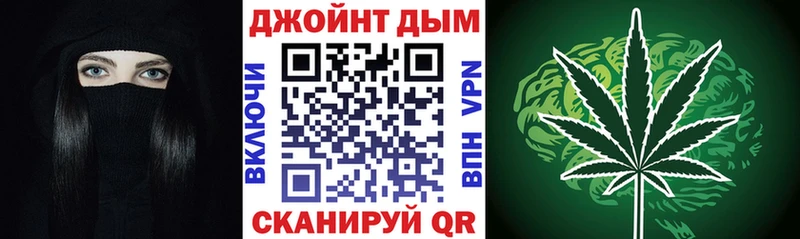 Купить закладки  Кострома  Бошки марихуана Ganja 