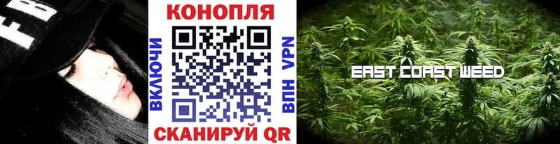 Каннабис ГИДРОПОН Кострома